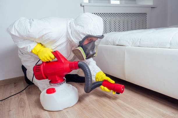 Best Termite Control Services  in Davisboro, GA