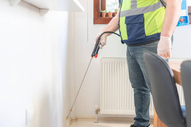 Best Affordable Pest Control Services  in Davisboro, GA