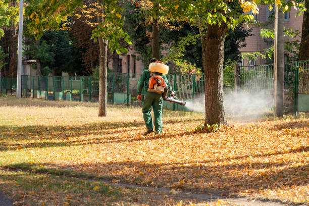 Best Wasp Removal Services  in Davisboro, GA